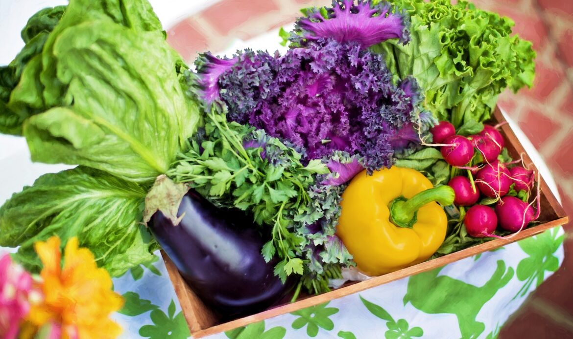 Garden Vegetables in basket