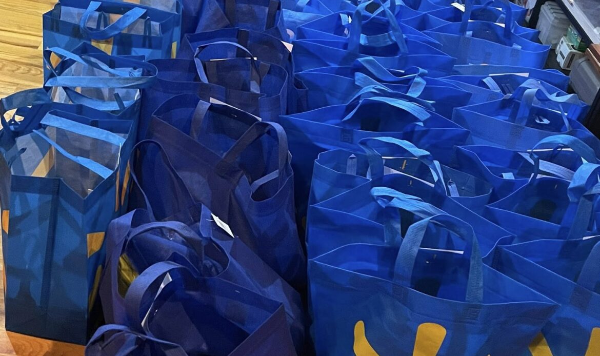 approximately 40 or more Walmart shopping bags filled with wellness products