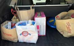 Back of hatchback with 4 grocery bags filled with food